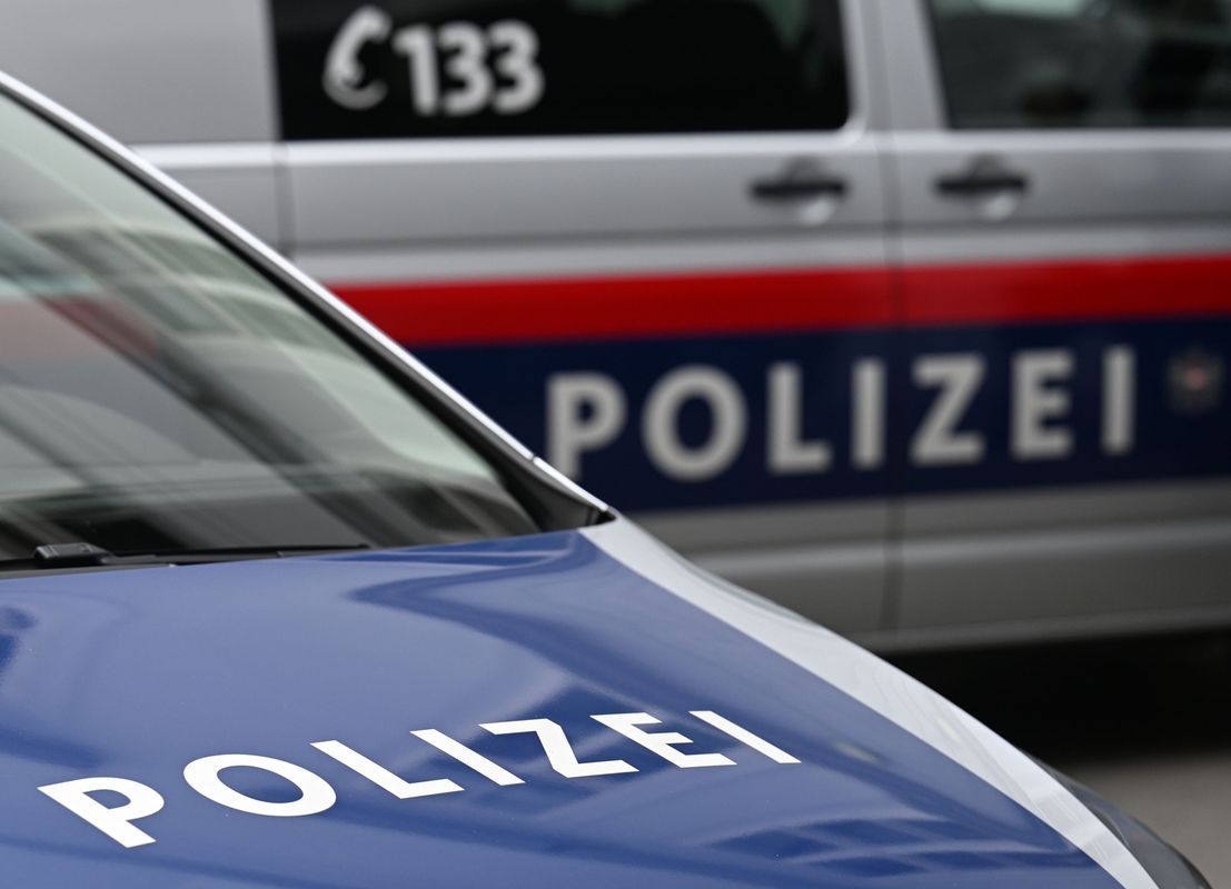 Katze brutal erschlagen und mitgefilmt: Polizei ermittelt wegen Tierquälerei im Brixental