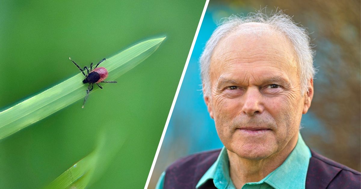 Krank-nach-einem-Zeckenstich-Borreliose-Betroffener-k-mpfte-sich-zur-ck-ins-Leben