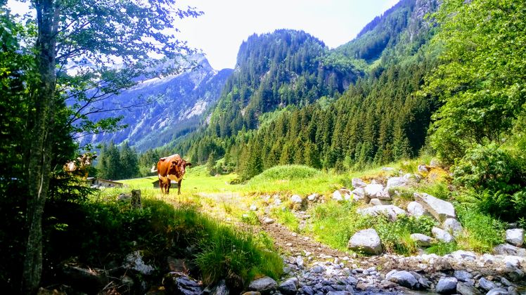 Schwemme Ginzling im Zillertal.