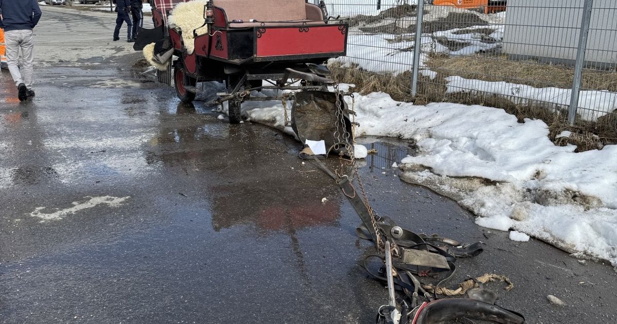 Pferde-gingen-durch-Kutsche-beim-Bahnhof-in-Seefeld-verungl-ckt