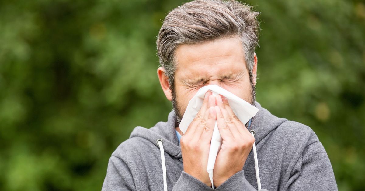 Abrupter-Start-in-die-Pollensaison-Das-hilft-Allergikern-gegen-die-Symptome