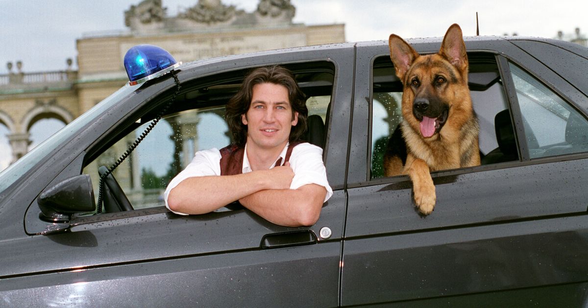 TV-Kultserie-im-gro-en-Fan-Test-Wie-gut-kennt-ihr-Kommissar-Rex-