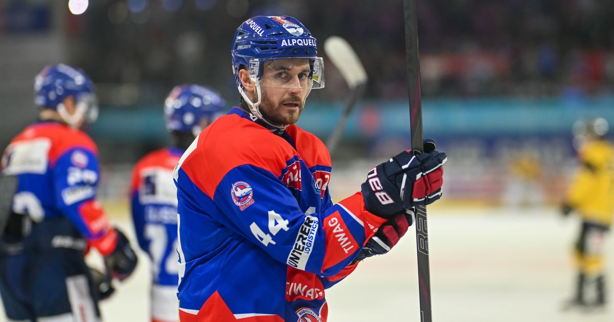 Erwachen-Haie-aus-dem-Albtraum-Team-gesehen-wie-wir-es-nicht-kennen-