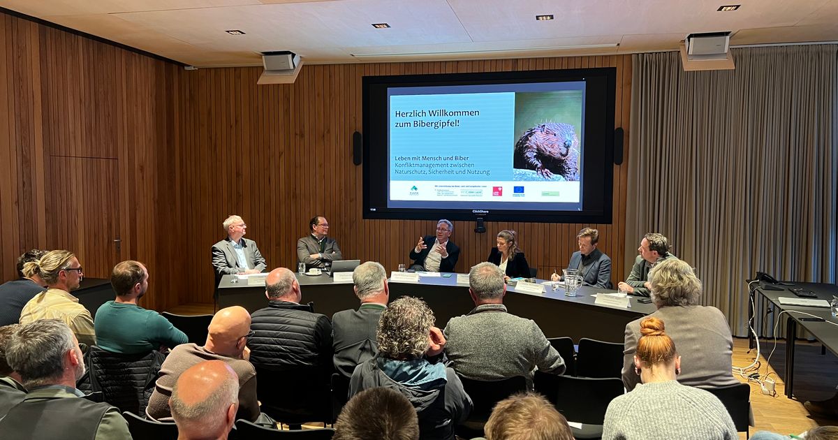 -Bibergipfel-in-Kufstein-Wie-kann-ein-Zusammenleben-mit-dem-Nager-funktionieren-