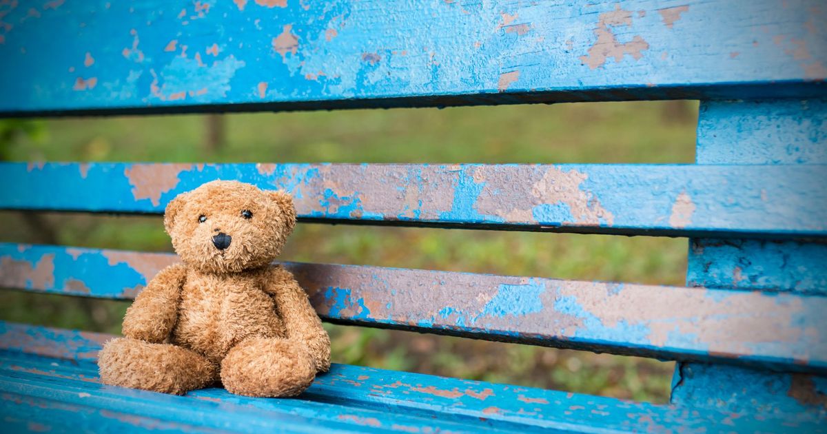 Mein-lieber-Sohn-wo-ist-Von-vergesslichen-Kindern-und-verlorenen-Gegenst-nden