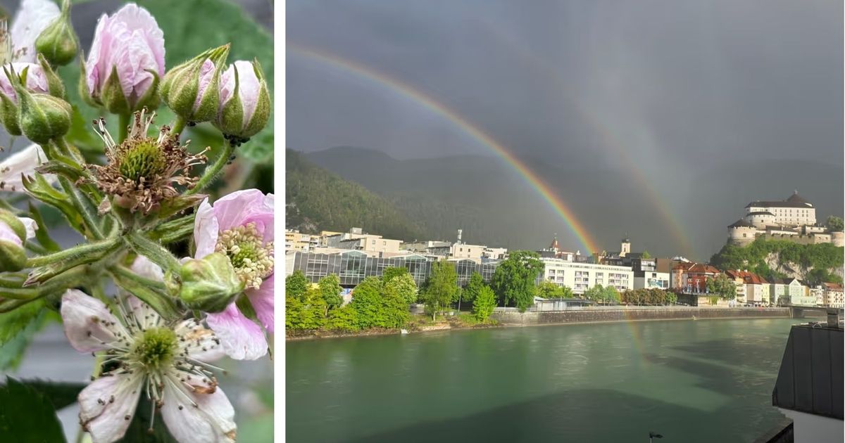 Hat-der-Mai-mit-dem-April-getauscht-Wetter-in-Tirol-bleibt-wechselhaft