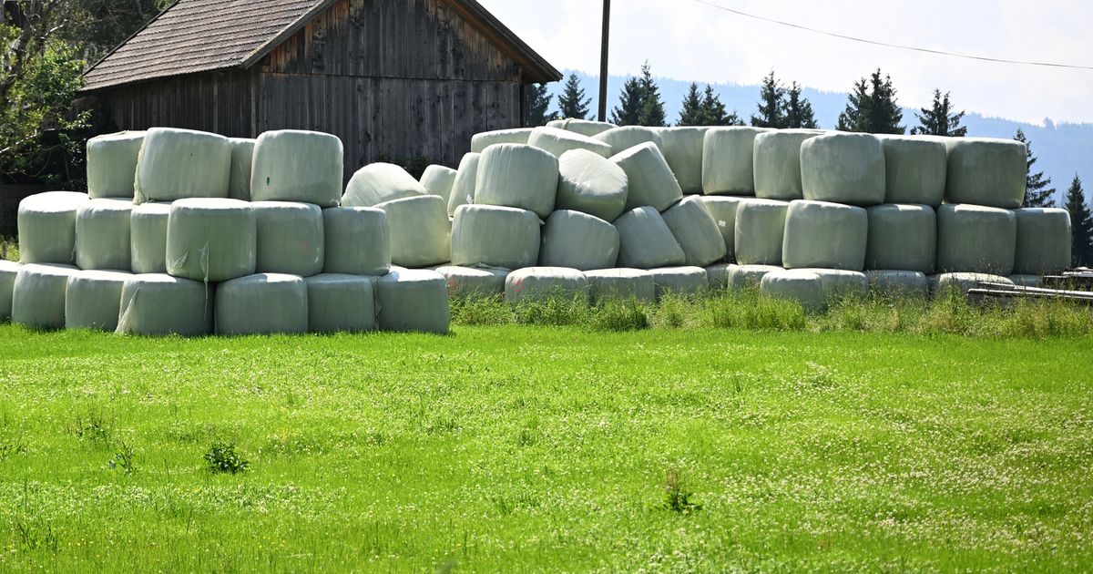 T-dlicher-Unfall-auf-Bauernhof-in-K-ssen-67-J-hriger-von-Heuballen-getroffen