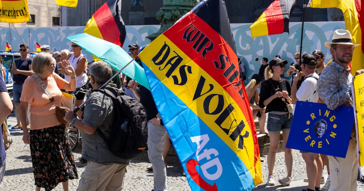 The normalization of the AfD: How the far-right party could become so ...