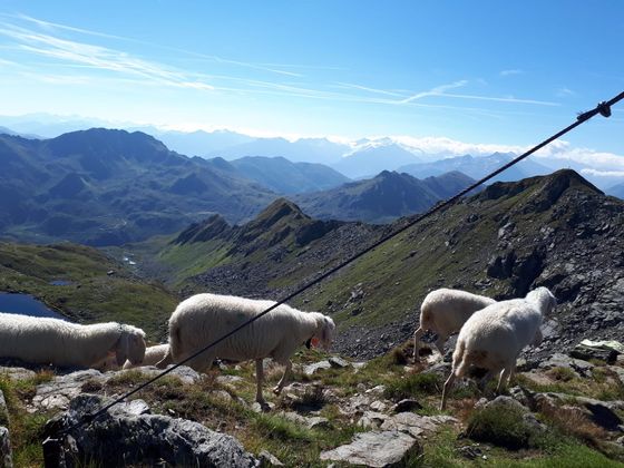 Schafsiedel in der Kelchsau.