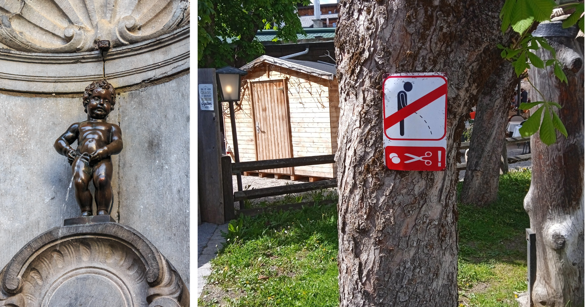 Castration threatened: Warning sign in Seefeld declares war on public ...