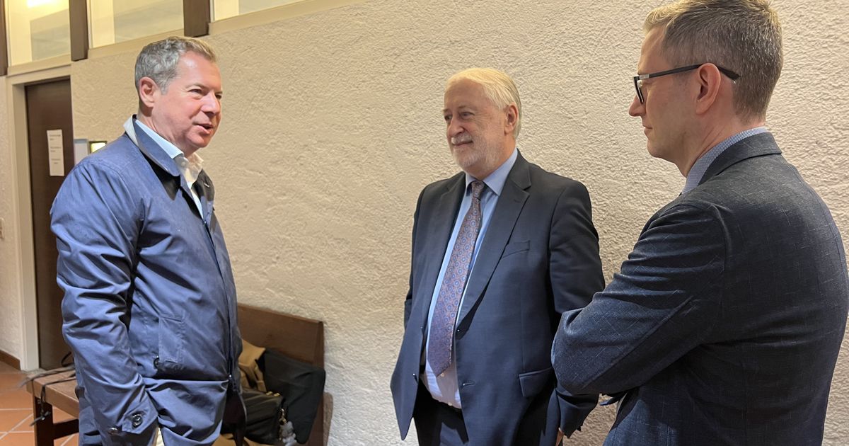 Kick-off to Grasser's multi-million-euro bankruptcy: This is how the ...