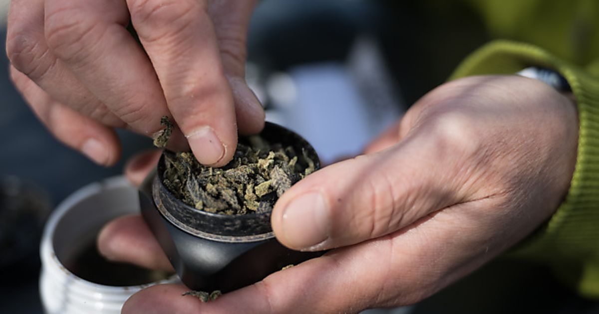 Nach-Anruf-Polizei-fand-in-Sautener-Wohnung-Cannabis-und-mehrere-Waffen