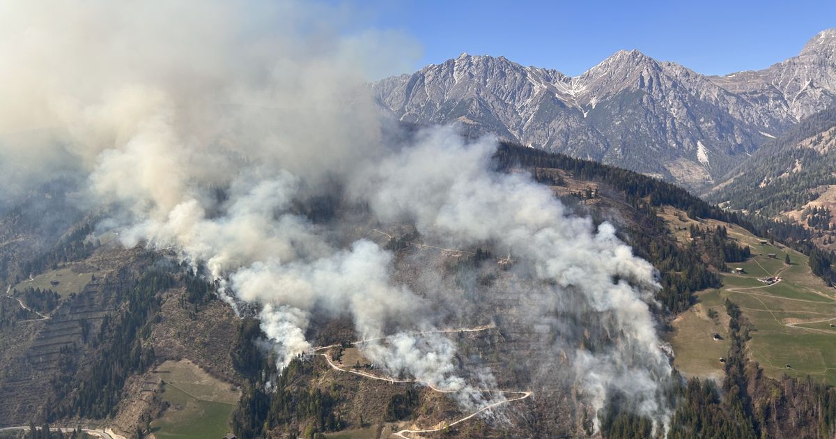 Waldbrandgefahr-in-Tirol-sinkt-Striktes-Feuerverbot-aufgehoben