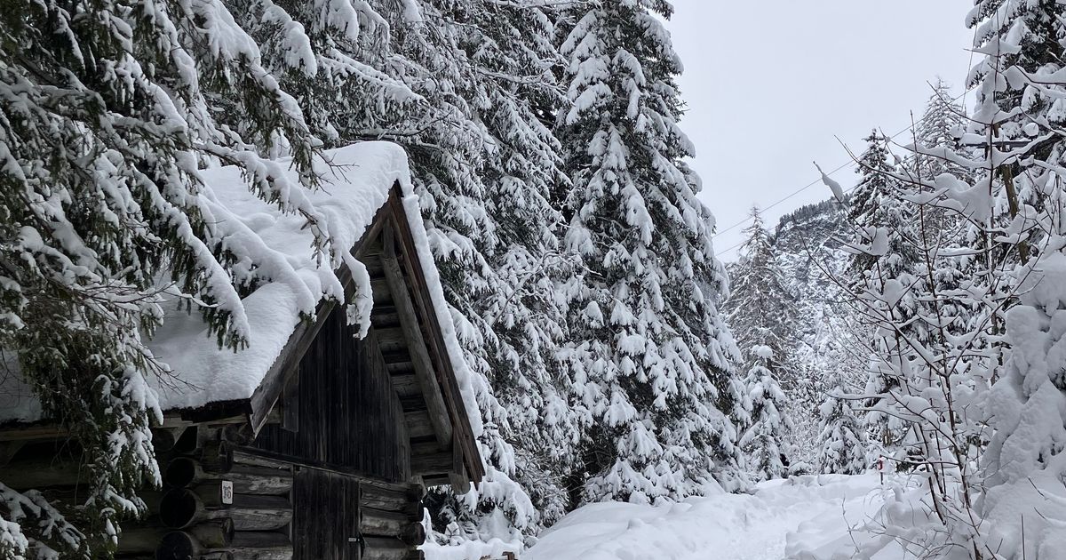 Bis-zu-40-Zentimeter-ber-Nacht-Das-sind-die-Neuschnee-Hotspots-in-Tirol