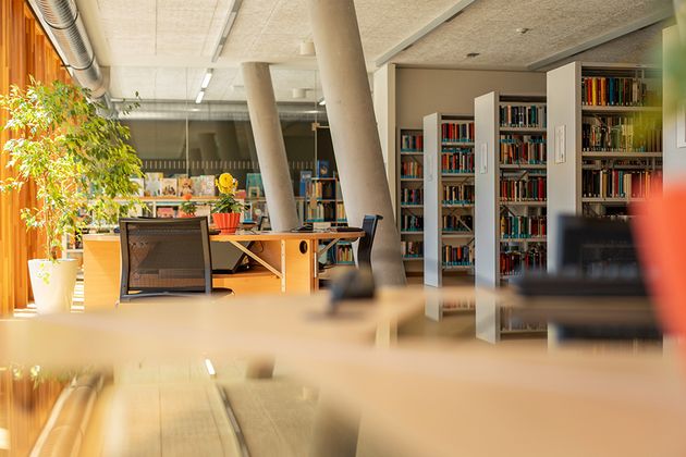 Die Bibliothek, kubi, verfügt über eine umfangreiche Literatur aus Wissenschaft & Freizeit.