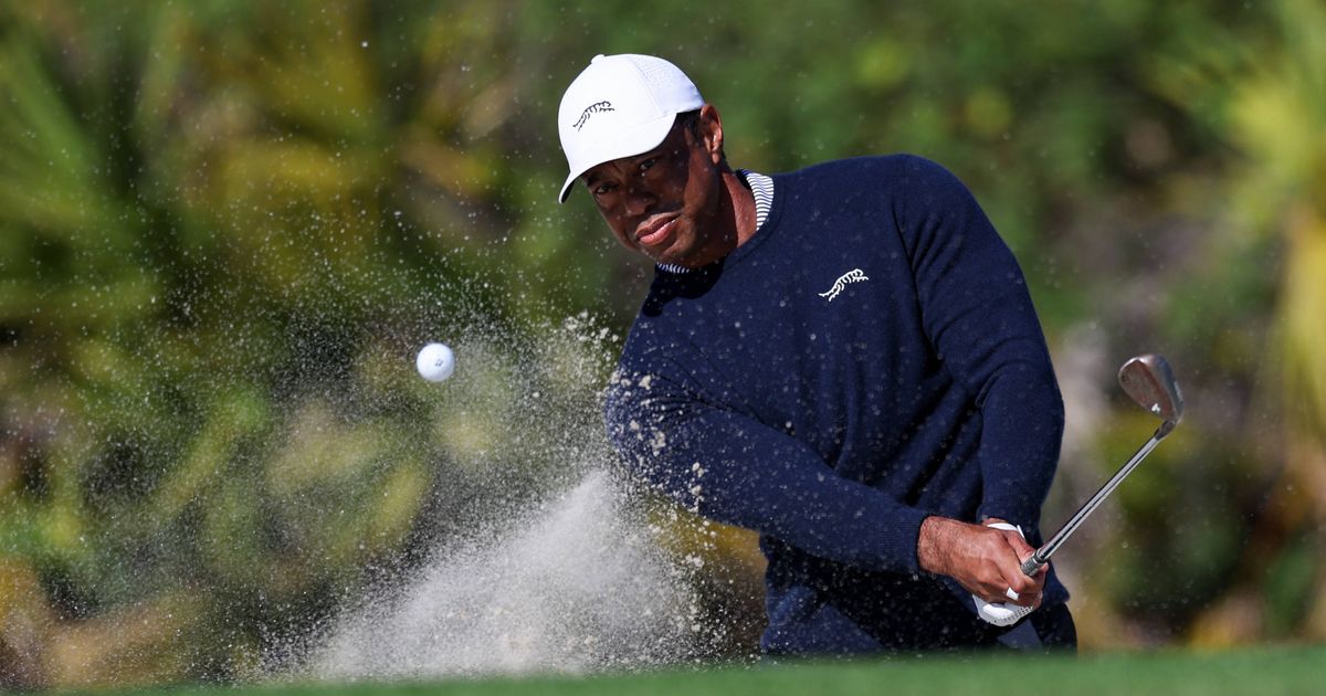 Sexsucht-Drogen-oder-Alkohol-Gefallene-Sportstars-und-die-zweite-Chance