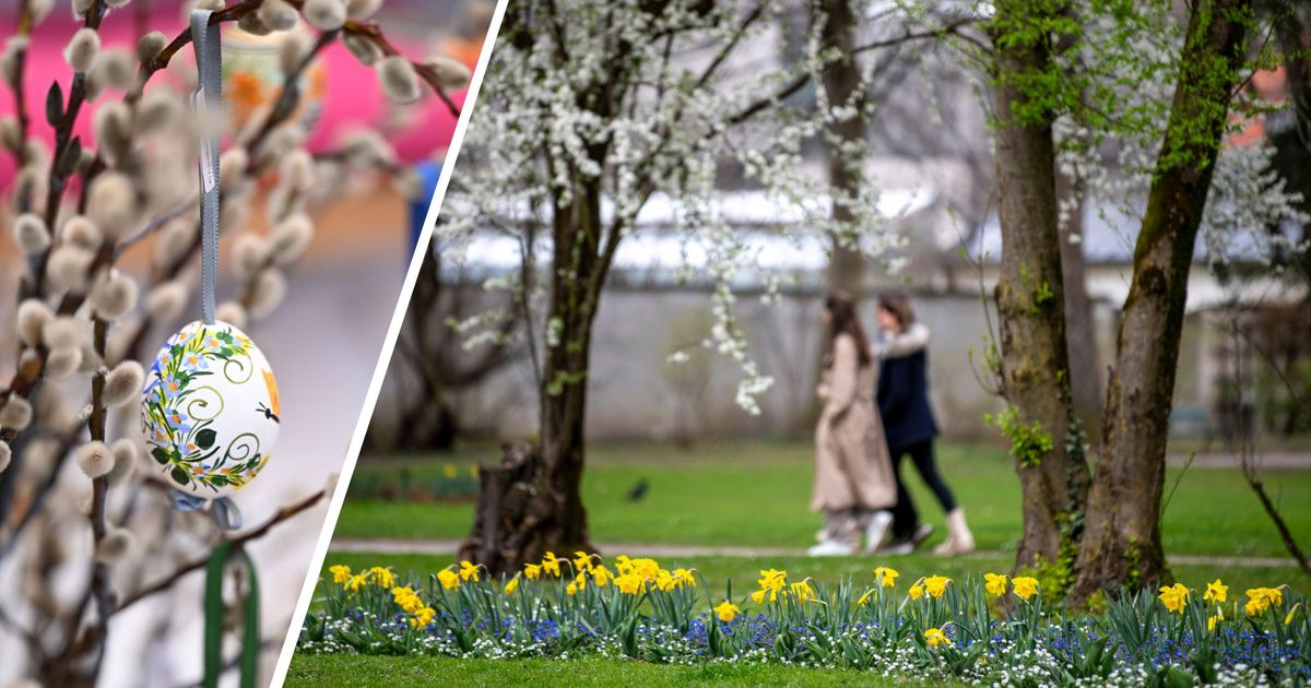 Der-Osterhase-bringt-den-Fr-hling-nach-Tirol-Es-wird-richtig-richtig-warm-