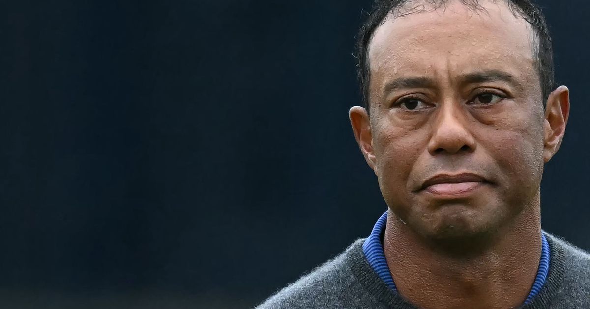 Acht-Stunden-im-Gef-ngnis-Golfstar-Tiger-Woods-nach-Unfall-wieder-freigelassen