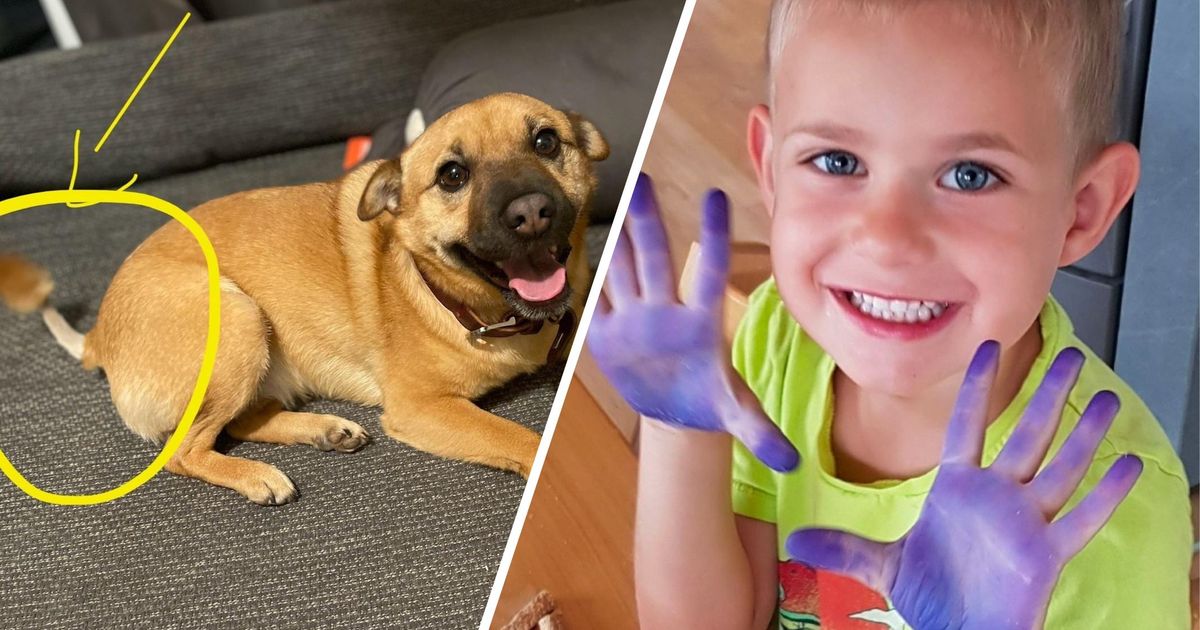 Vom-Filzstift-Gesicht-bis-zum-Kinderzimmer-Chaos-Zeigt-uns-die-lustigsten-Katastrophen-eurer-Kinder