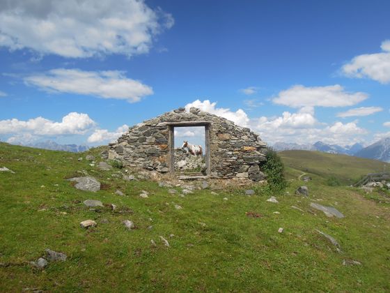 Michael Schatz schickte uns ein Bild auf dem Weg zum Rosskogel.