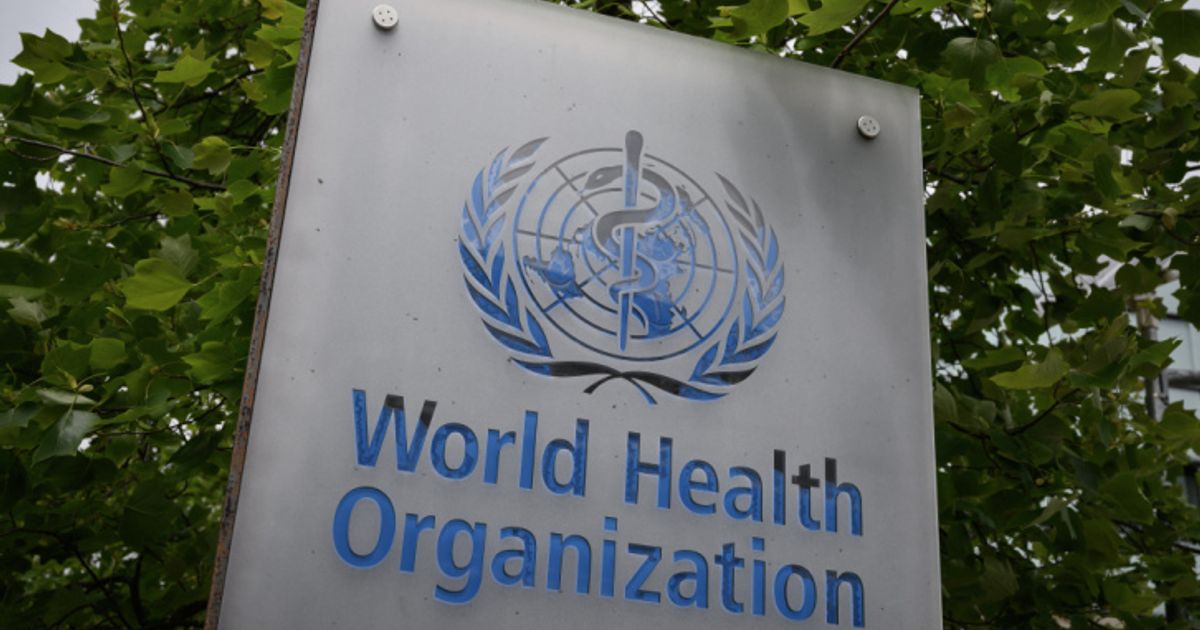 Hantavirus-WHO-Andesstamm-in-acht-F-llen-nachweisbar