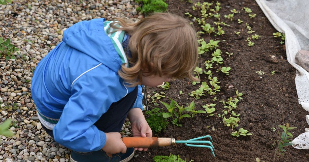 Wenn-Gartln-Schule-macht-Ab-ins-Gem-sebeet-mit-unseren-Kindern