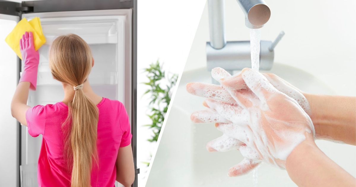 Sauberkeitsfanat-oder-Dreckspatz-Wie-viel-Hygiene-ist-ideal-