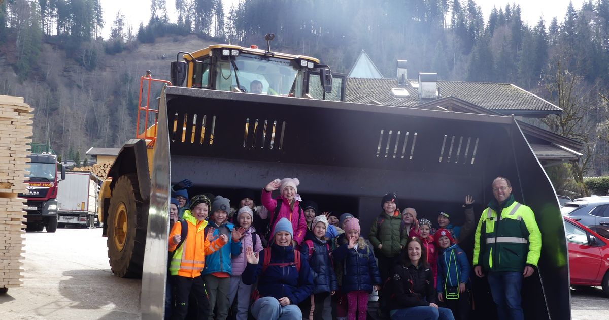 Vom-Baum-zum-Brett-Sch-ler-lernen-hautnah-die-Wertsch-pfung-des-Waldes