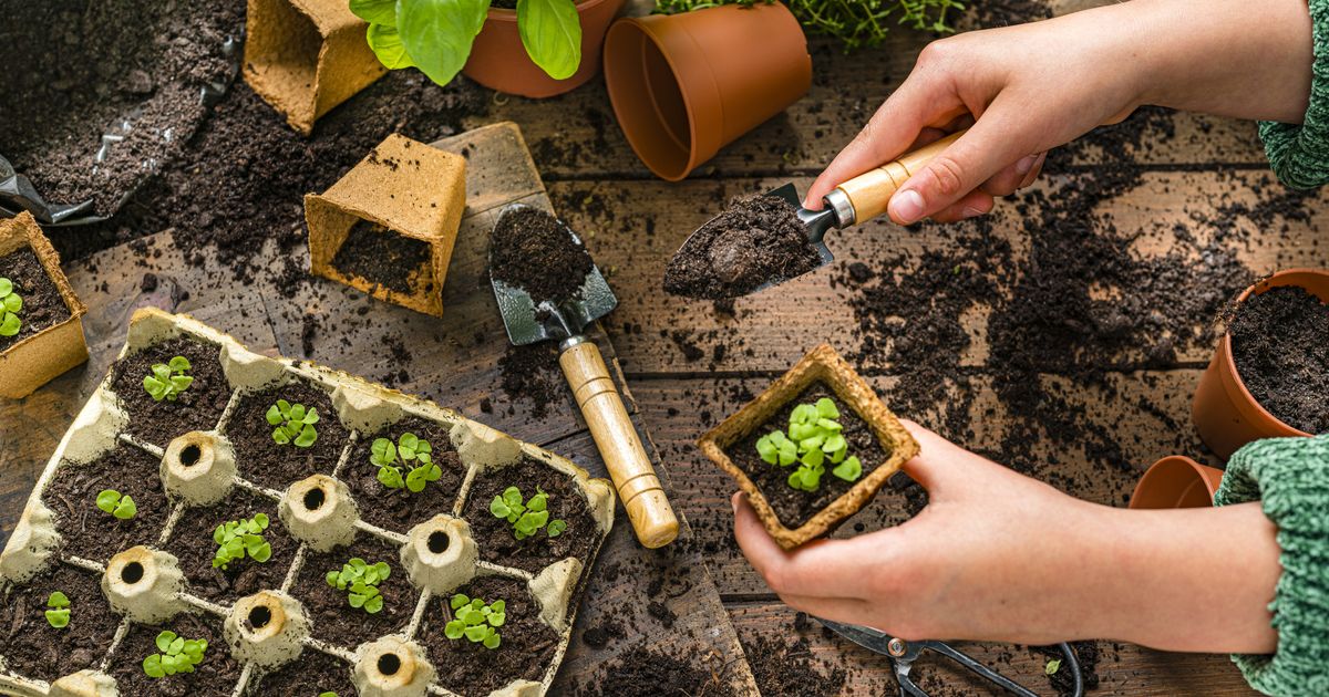 Was-es-schon-im-Februar-im-Garten-und-auf-dem-Balkon-zu-tun-gibt