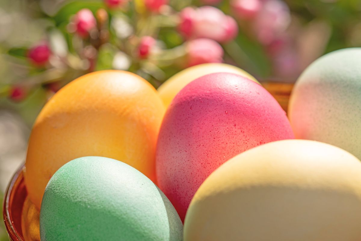 Allerlei rund ums (Oster-)Ei: Das steckt hinter der harten Schale