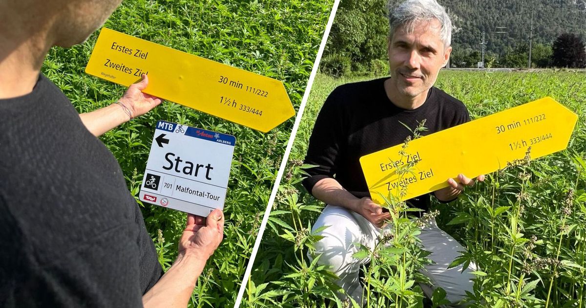 Ungew-hnliche-Idee-aus-Tirol-Auf-diesem-Feld-bei-Silz-w-chst-ein-Schilderwald