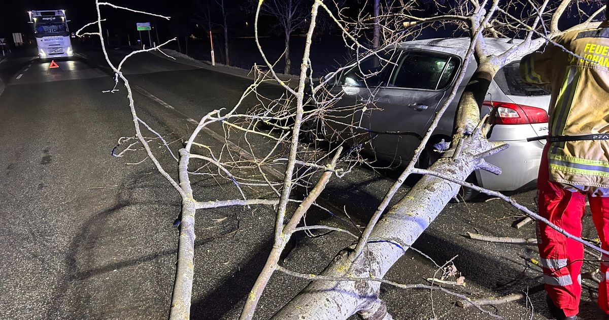 Baum-st-rzte-auf-Bundesstra-e-in-St-Johann-Auto-prallte-dagegen