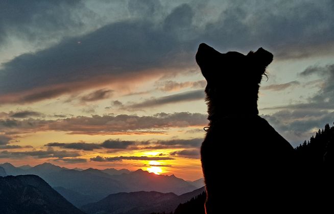 Ein starkes Profil bei Sonnenuntergang am Stripsnjoch.