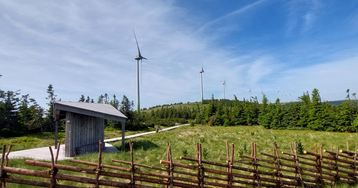 Verbund-forciert-Windkraft-in-Tirol-Pr-fen-derzeit-einige-Standorte-f-r-Windparks-