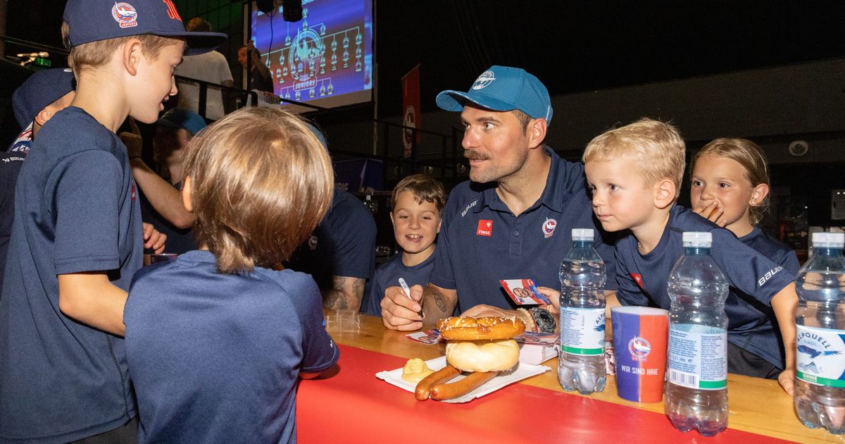 Langzeitgr-e-emotionalisiert-Die-Haie-wollen-die-Wogen-um-Lattner-gl-tten