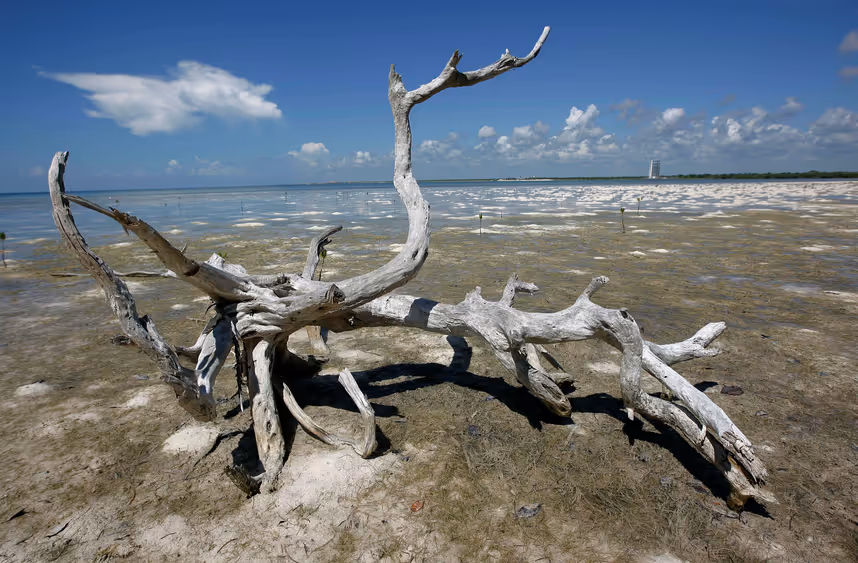 Illusionslos in Doha - Verhandlungen treten auf der Stelle