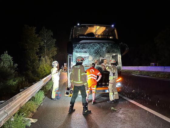 Ein Reisebus krachte auf der A12 bei Münster in gegen einen Baum. Verletzt wurde zum Glück niemand.