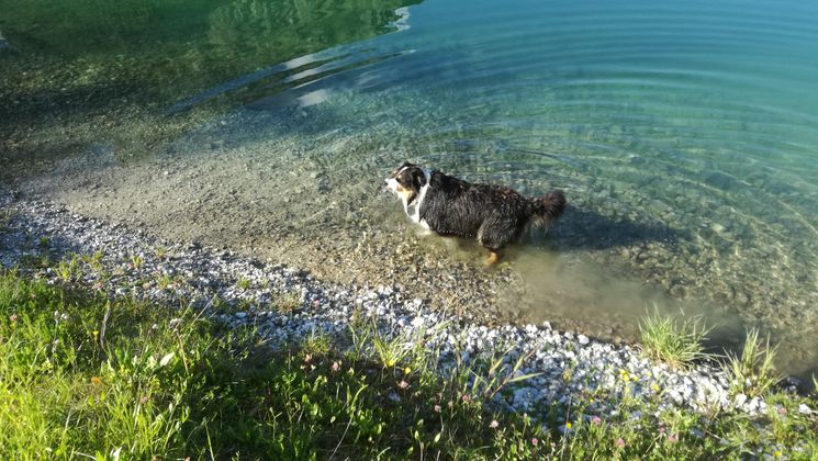Speichersee Schlick in Telfes.