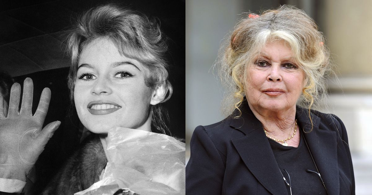 S-ngerin-Filmstar-und-Fotomodell-Brigitte-Bardot-mit-91-Jahren-gestorben
