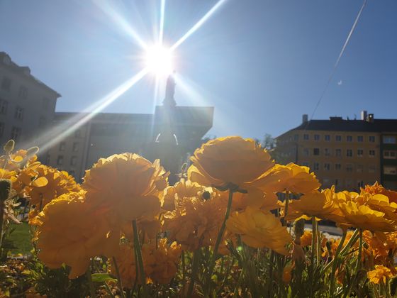 Der Boznerplatz im gleißenden Sonnenlicht