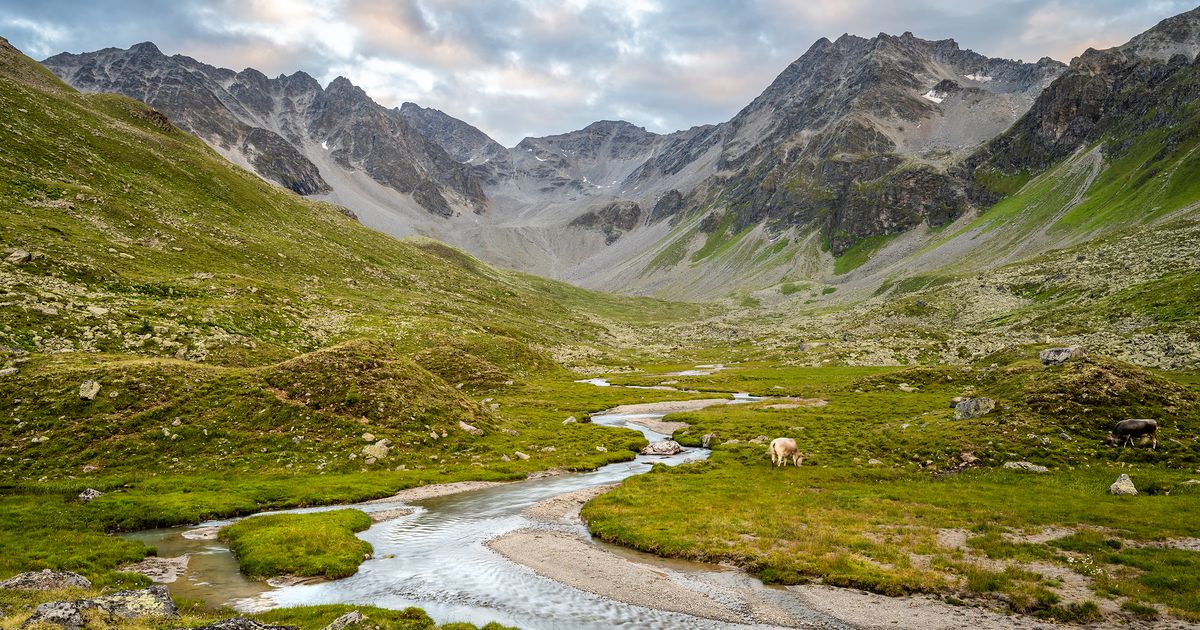 Klimabedingte-Risiken-zu-wenig-im-Visier-WWF-kritisiert-M-ngel-bei-Tiwag-Unterlagen