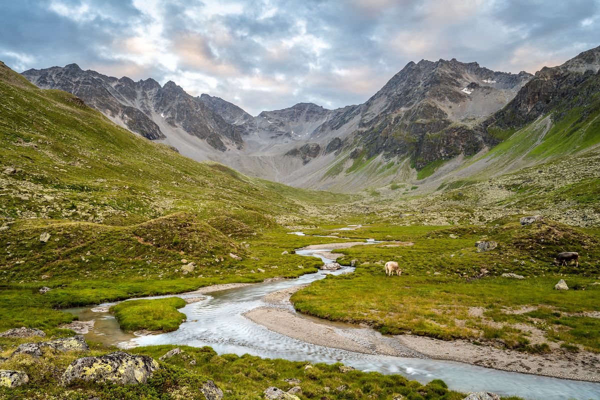 Stausee im Platzertal: WWF ortet „grobe Mängel“ bei Tiwag-Plan