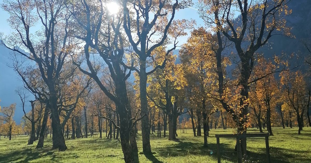 Wie-lange-bleibt-der-goldene-Herbst-in-Tirol-So-geht-es-in-der-neuen-Woche-weiter