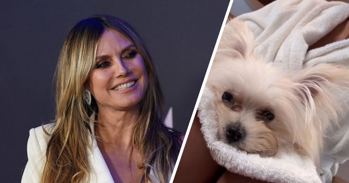 -Fritz-adoptiert-Flauschiger-Familienzuwachs-bei-Heidi-Klum-und-Tom-Kaulitz