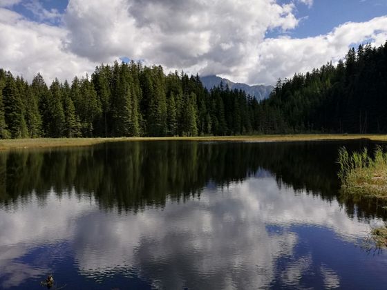 Brandsee