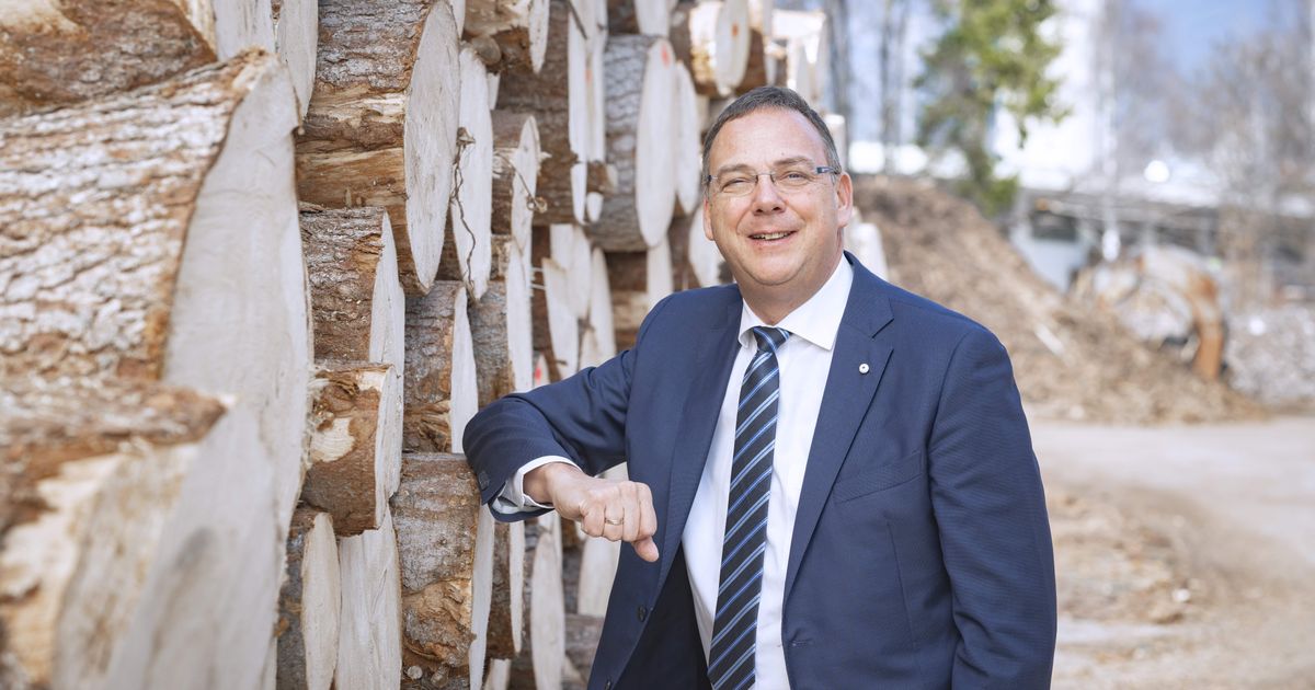 Tiroler-Holzgruppe-Pfeifer-expandiert-in-Gro-britannien