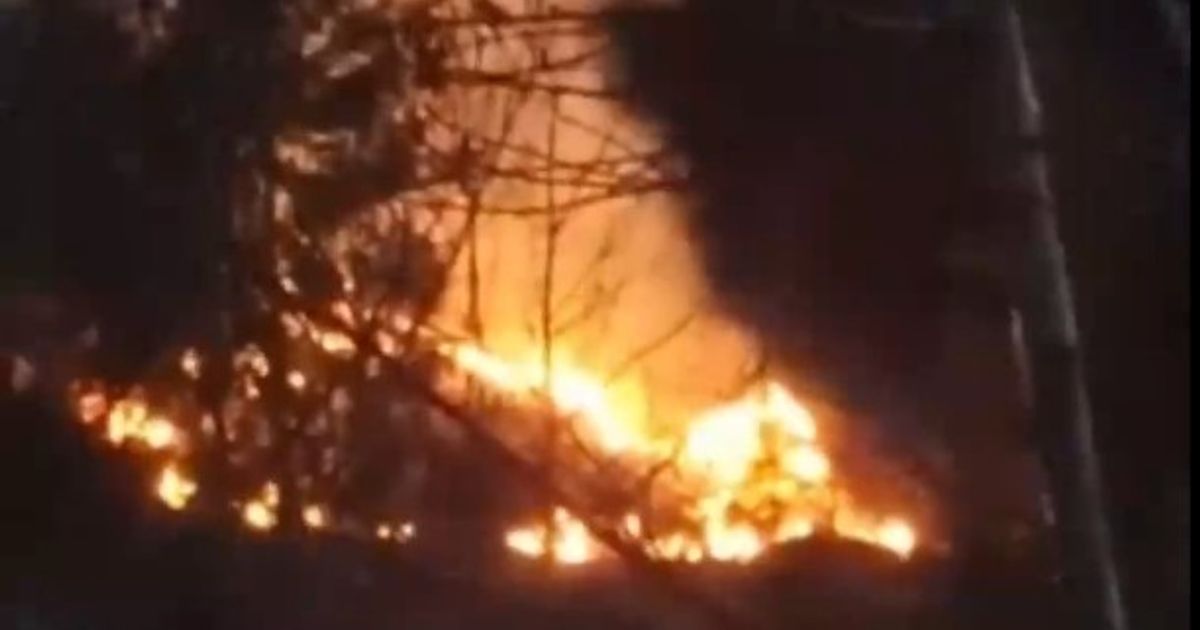 B-schungsbrand-und-Feuer-in-Toilette-hielten-Einsatzkr-fte-in-Seefeld-auf-Trab