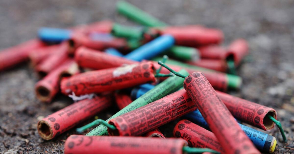 Father contacts police, 16-year-old responsible for meadow fire in Sillian