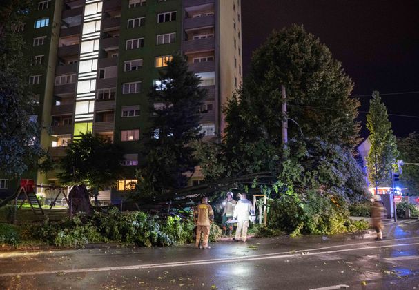 Feuerwehrleute beseitigen einen umgestürzten Baum in Innsbruck.