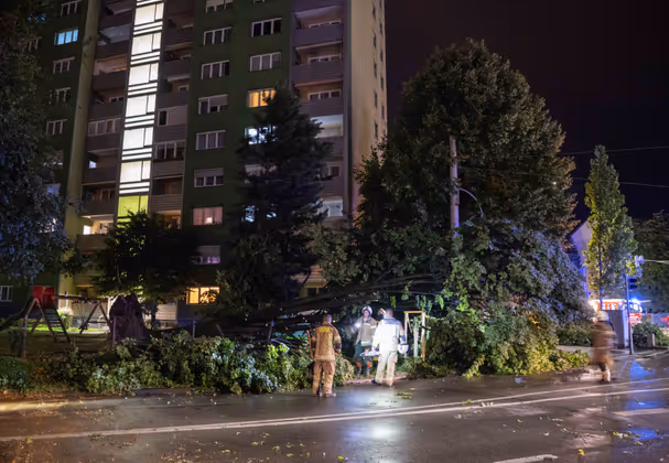 Feuerwehrleute beseitigen einen umgestürzten Baum in Innsbruck.